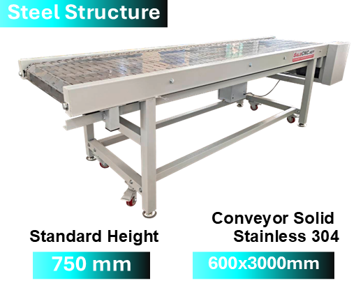 Steel Structure Stainless 304 Conveyor 600x3000 mm